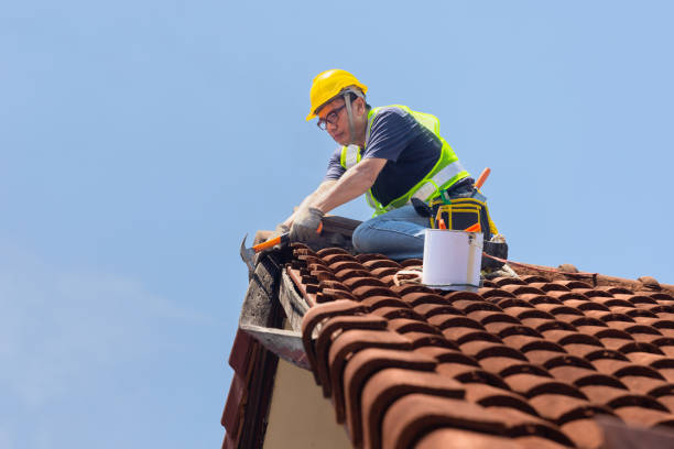 Best Asphalt Shingle Roofing  in Bevil Oaks, TX